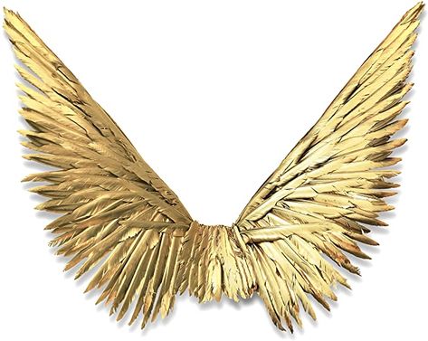 Gold Wings Costume, Costume Angel Wings, Saltburn Wings, Gold Wings Angels, Gold Fairy Wings, Red Pngs, Angel Wings Halloween, Crying Angel, Theme Nails