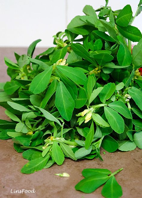 Methi leaves or Fenugreek leaves (Shanbalileh in Farsi), are an essential ingredient in Middle Eastern as well as Indian and Pakistani cooking. Fresh leaves are always preferable in the former, while in the latter 2, the dried version is used as often, and is known as kasuri methi. Pakistani Cooking, Fenugreek Benefits, Kasuri Methi, Persian Recipes, Health Fitness Food, Persian Cuisine, Drumstick Recipes, Fenugreek Leaves, Health Dinner