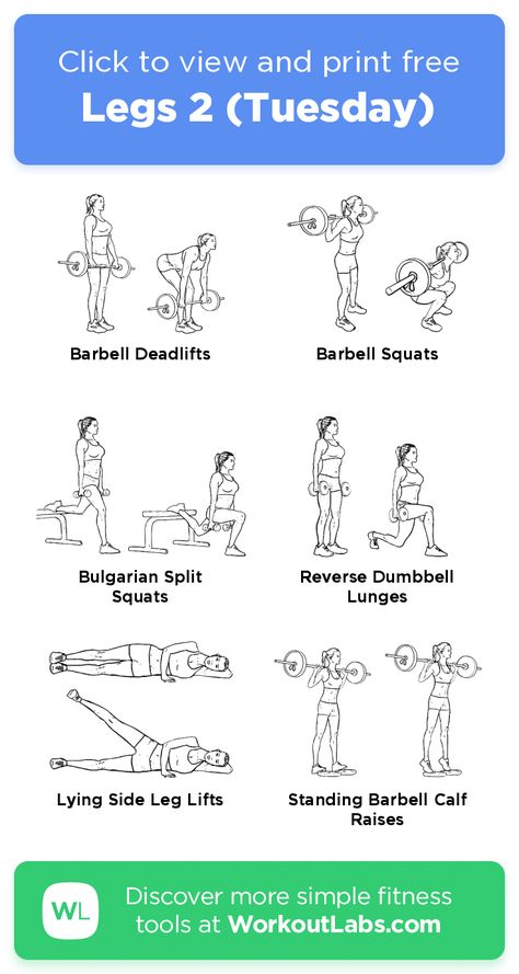 Workoutlabs Fit, Exercise Weights, Pooch Workout, Tuesday Workout, Belly Pooch Workout, Leg Workouts Gym, Workout Programs For Women, Gym Workout Plan For Women, Card Workout