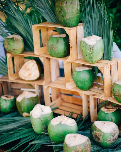 Patagonia Wedding, Coconut Photography, Breakfast Reception, Coconut Wedding, Bali Party, Coconut Shake, Weddings Mexico, Havana Nights Party, Wedding Drink Station