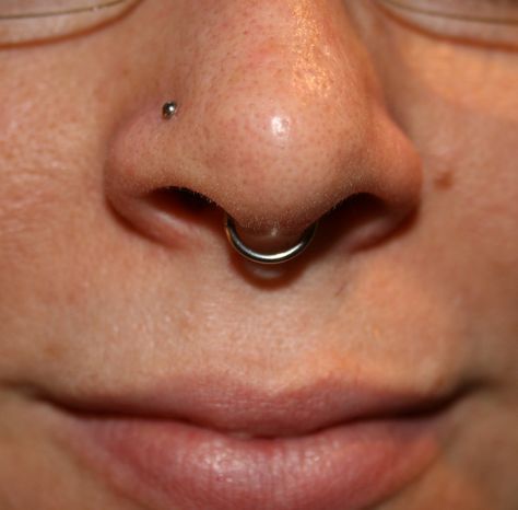 Stud And Septum Piercing, Septum And Nostril Piercing, Nostril Stud, Septum Nostril, Septum Hoop, Piercing Ideas, Septum Piercing, Body Mods, Perfect Body