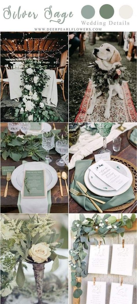 Sage Green Wedding Colors, Popular Wedding Colors, Wedding Color Ideas, Silver Sage, Green Wedding Colors, Winter Wedding Colors, Sage Wedding, Rustic Wedding Signs, Sage Green Wedding