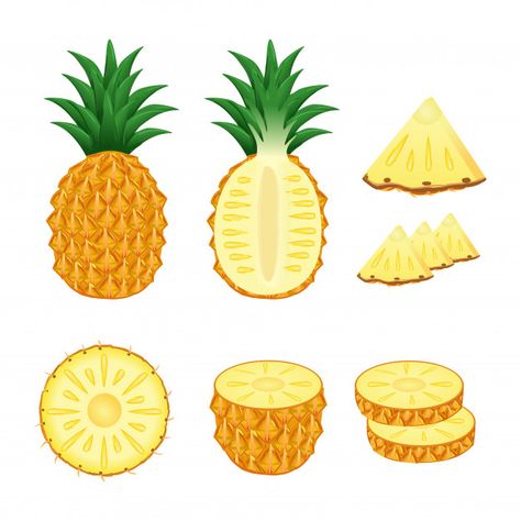 Set of pineapple whole and slices illust... | Premium Vector #Freepik #vector #food #leaf #nature #fruit Pineapple Slice Drawing, Pineapple Illustration Design, Infographic Recipe, Draw Pineapple, Pineapple Aesthetic, Kombucha Labels, Pineapple Vintage, Pineapple Drawing, Cartoon Pineapple