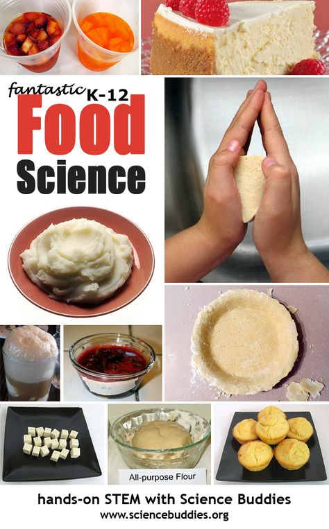 Food Science Activities, Food Science Experiments, Kitchen Chemistry, Projects Science, Food Chemistry, Kitchen Science, Family And Consumer Science, Health Class, Food Tech