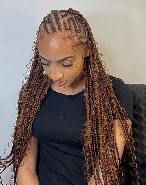 Red Brown Braided Protective Hairstyle Snoopy Hairstyles, Stitch Braids Hairstyles, Hair Type Chart, Brown Ponytail, Braid Styles For Girls, Hairstyles For Natural Hair, Hair Braid Patterns, Edges Hair, African Hair Braiding Styles