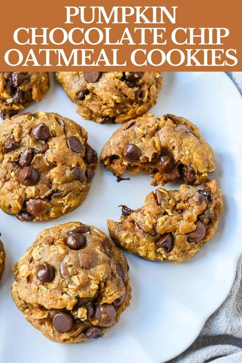 Pumpkin Cookies Chocolate Chip, Pumpkin Oatmeal Chocolate Chip, Pumpkin Oatmeal Chocolate Chip Cookies, Oatmeal Chocolate Chip Cookie Recipe, Chocolate Chip Oatmeal Cookies, Pumpkin Oatmeal Cookies, Oatmeal Cookies Chewy, Soft Chocolate Chip Cookies, Pumpkin Chocolate Chip Cookies