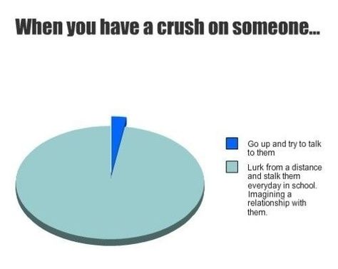 this describes me perfectly... seriously ask any of my friends Funny Pie Charts, Funny Crush Memes, Crush On Someone, Funny Charts, Crush Humor, Funny Texts Crush, Crushing On Someone, Crush Memes, A Crush