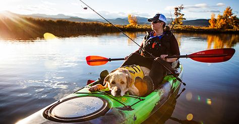 Kayaking With Dogs, Kayaking Tips, Sup Stand Up Paddle, Kayak Camping, Kayak Accessories, Kayak Paddle, Kayak Adventures, Inflatable Kayak, Kayak Trip