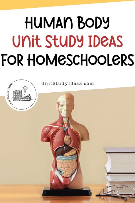 Human Body Unit Study Ideas for Homeschoolers - Unit Study Ideas Human Anatomy Homeschool, Homeschool Human Body Unit, Human Body Unit Study Elementary, Human Body Homeschool, Human Body Lesson, Homeschool Units, Human Body Unit Study, Unit Study Ideas, Science Unit Studies