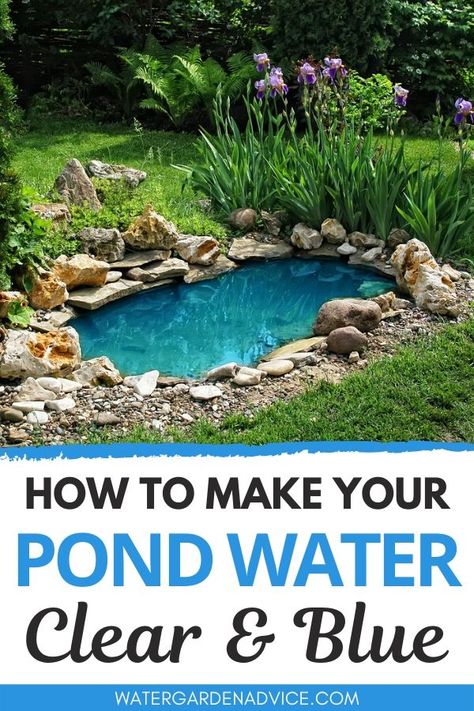 Blue pond water is something that all pond owners dream of. Here's how to make your backyard pond water clear and blue. #pond #backyardpond #gardenpond Water Feature Pond Ideas, Backyard Waterfall Pond Ideas, Small Backyard Fish Pond Ideas, Pond Landscaping Small, Diy Outdoor Pond With Waterfall, Waterfall Fish Pond, Small Backyard Fountain, Outside Pond Ideas, Small Yard Ponds Ideas