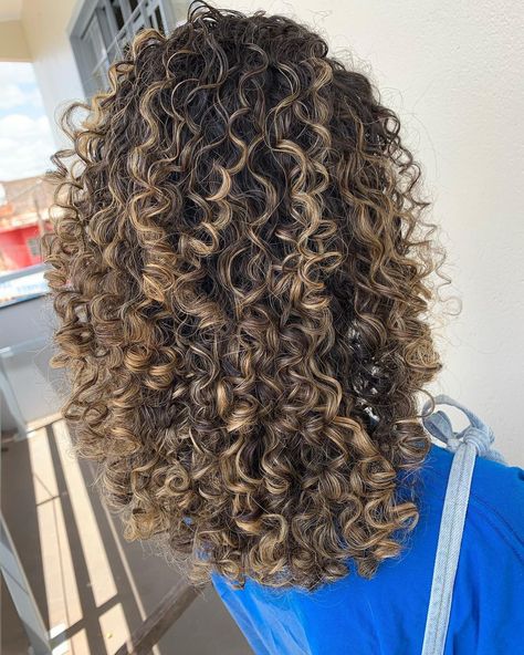 Curly Highlights Light Brown, Bolyoge Hair Balayage Curly, Curly Dark Ginger Hair, Curl Hair Balayage, Gold Brown Curly Hair, Curly Hair 3b/3c Highlights, Curly Hair Dye Ideas Brown Skin, Highlights On Curly Dark Hair, Chestnut Brown Highlights Curly Hair