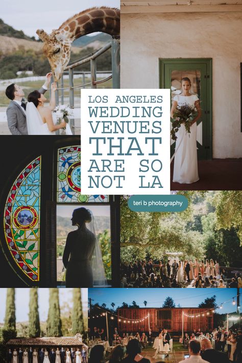 Los Angeles Wedding Venues that feel nothing like LA // Unique Venues in the Los Angeles Area // teri b photography Wedding Venues Los Angeles, Los Angeles Wedding Venues, La Wedding Venues, Wedding Stills, Feel Nothing, Southern California Wedding Venues, Wedding Venue Los Angeles, Smallest Wedding Venue, Outdoor Fall Wedding