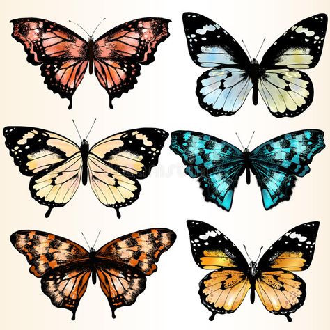 Collection of colorful butterflies for design. Illustration with realistic butte #Sponsored , #Paid, #PAID, #colorful, #realistic, #butte, #butterflies Color Butterfly, Butterfly Illustration, Banner Printing, Facebook Image, Monarch Butterfly, Colorful Butterflies, Image Photography, Business Card Design, Vector Art