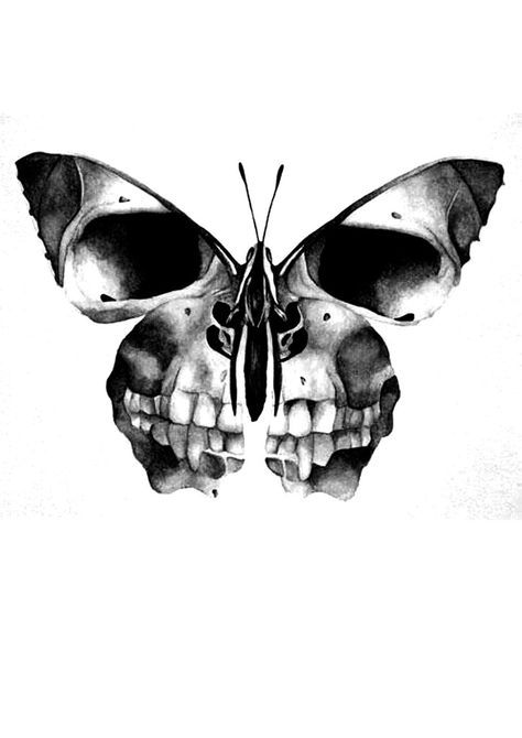 Scull butterfly Scull Butterfly Tattoos, Scull Moth Tattoo, Skull And Butterfly Drawing, Skull Butterfly Drawing, Skull And Butterfly Tattoo, Skull Butterfly Tattoo Design, Butterfly With Skull, Butterfly Skulls, Butterfly Skull Tattoo