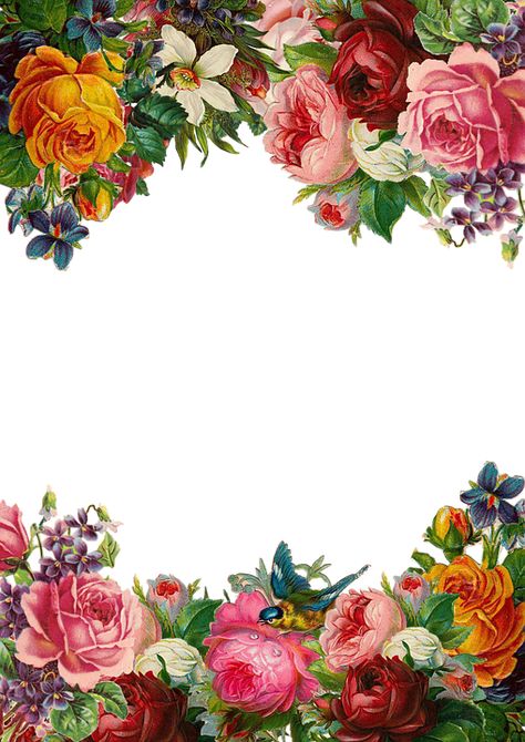 Molduras Vintage, Rosé Png, Vintage Cross Stitch Pattern, 카드 디자인, Victorian Flowers, Floral Border Design, Rose Frame, Frame Collection, Flower Background Wallpaper