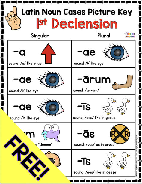 Print these FREE posters and activities to teach your child Latin Noun Declensions - CC Cycle One Latin memory work.  The printables and flashcards make it so easy to memorize - freebie download for homeschool #classicalconversations #ccmemorywork #clasicalconversationshomeschooling #homeschool #homeschooling Cc Presentation Ideas For Kids, Cc Family Presentation Ideas, Challenge A Classical Conversations, Classical Conversations Cycle 1, Cc Foundations, Classical Conversations Foundations, Teaching Latin, Classical Homeschool, Free Posters