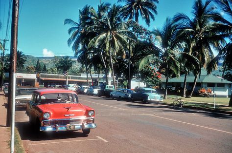 Shorpy Historic Picture Archive :: Hawaii: 1962 high-resolution photo Hawaii Oahu, Hawaii Homes, Air And Space Museum, Vintage Hawaii, Vintage Surf, History Pictures, Hawaii Travel, Street Scenes, Honolulu