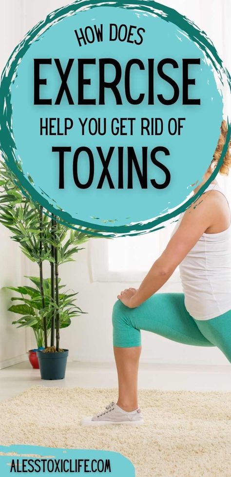 Exercise is one of the best ways to help get rid of toxins and get healthier. Learn one of the best exercises you can do at home. #toxins #detox #yoga #health Remove Toxins From Body At Home, Body Toxins, Sweat Gland, Remove Toxins, Balanced Life, Best Exercises, Detox Your Body, Yoga Health, Do Exercise