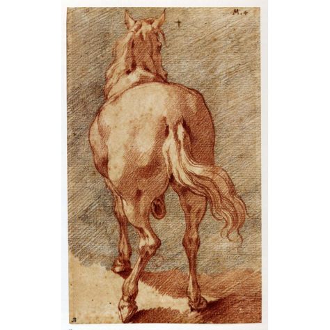 Horse Seen from Behind | ArtGrok Horse From Behind, Painting Horses, Experiential Art, Horse Reference, Search History, Reference Drawing, Horse Drawings, Felting Tutorials, Horse Life