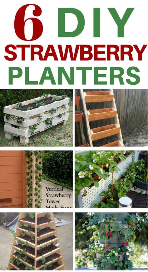 6 DIY strawberry planter ideas.  These all look fairly easy to make. Strawberry Plants Ideas, Raised Strawberry Beds, Strawberry Planters Diy, Growing Strawberries In Containers, Strawberries In Containers, Strawberry Planter, Strawberry Tower, Strawberry Beds, Strawberry Pots