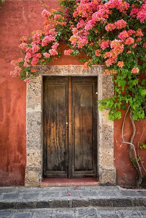 This door was right next to our hotel - love me some bougainvillea! | Flickr - Photo Sharing! Cool Doors, Open Door, Old Door, Old Doors, Unique Doors, Bougainvillea, Beautiful Doors, Home Decor Tips, Belle Photo