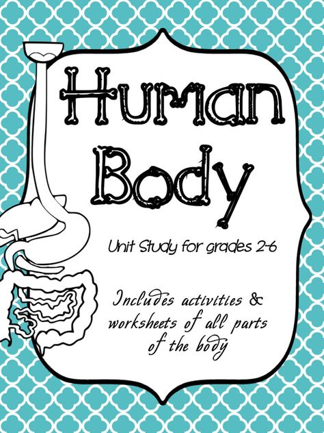 My Body Kindergarten Activities, Human Body Homeschool, Human Body Bones, Human Body Lesson, Human Body Unit Study, Science Unit Studies, Human Body Science, Human Body Activities, Unit Studies Homeschool