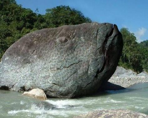 Fish rock -Amazing natural rock formations  Mother Nature has created many unforgettable masterpieces. All it takes to enjoy these natural works of art is time and a dash of imagination. Enchanted Places, Fish Rocks, Elephant Rock, Rock Face, Beautiful Rocks, What Do You See, Natural Rock, Rock Formations, Works Of Art