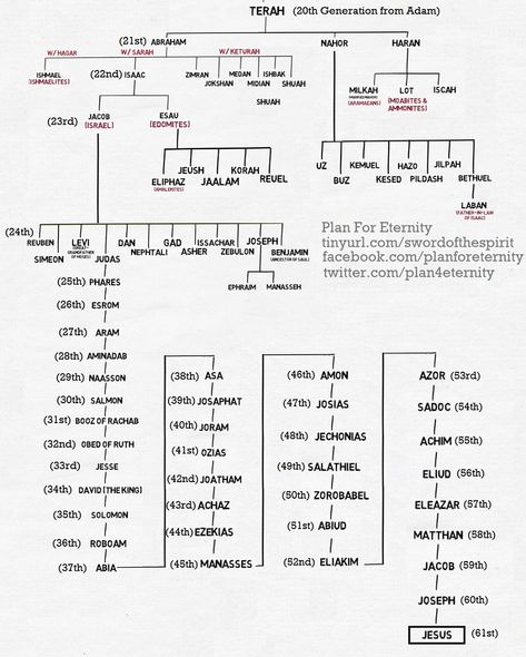 Matthew 1:1 - Jesus' Genealogy from Abraham Genealogy Of Abraham, David From The Bible, Biblical Genealogy, Jesus Genealogy, Bible Family Tree, Bible Genealogy, Matthew Bible, Genealogy Of Jesus, Book Of Matthew