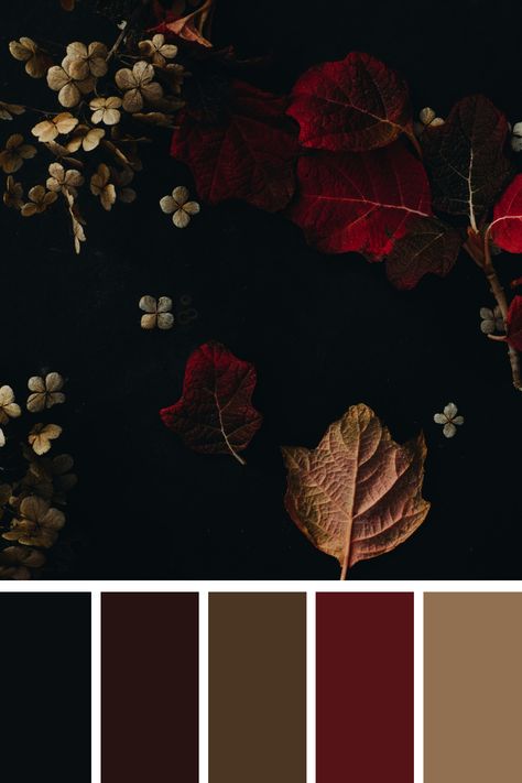 A rich palette of autumn colors, including deep reds, browns, and hints of gold. The contrast of the dark background with the vibrant leaves and delicate flowers creates a sophisticated and elegant aesthetic, ideal for seasonal and nature-inspired designs. Dark Earth Tone Paint Colors, Dark Autumn Wedding Colors, Red Color Palette Living Room, Autumn Color Bedroom Ideas, Red Jewel Tone Color Palette, Dark Fall Palette, Dark Gothic Color Palette, Dark Paint Palette, Dark Christmas Color Palette