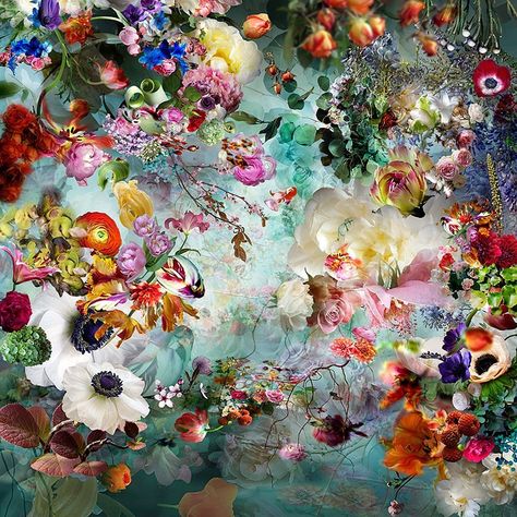 Isabelle Menin on Instagram: “Dream River 07 #landscape #flowers #nature #lumas #lumasgallery #isabellemenin #art #digitalart” Isabelle Menin, Landscape Flowers, Jan Van Eyck, Seattle Art, Up To The Sky, Colorful Bouquet, Nordic Wall, Wall Pictures, Peony Flower