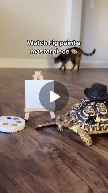 Chas | Plants and Pets 🪴🐾 on Instagram: "How do you think he did? 🥹

#petart #animalart #animalartists #tortoisegram #turtlegram #cuteanimalvideos #turtles #instagrampets #petsagram" Funny Turtle Videos, Turtle Videos, Turtle Pet, Tortoise Drawing, Cute Tortoise, Turtle Pond, Turtles Funny, Pet Turtle, Cute Animal Videos