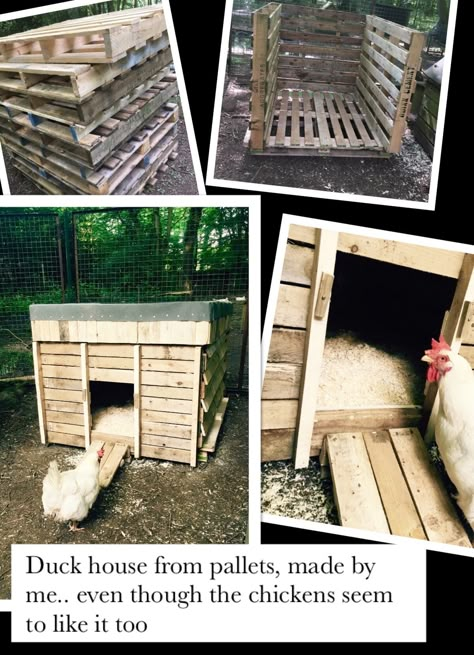 Duck Coop Pallets, Playhouse Duck Coop, Cheap Duck House Easy Diy, Diy Pallet Duck Coop, Diy Pallet Duck House, Duck House From Pallets, Duck House And Run, Duck House Out Of Pallets, Duck House Pallets