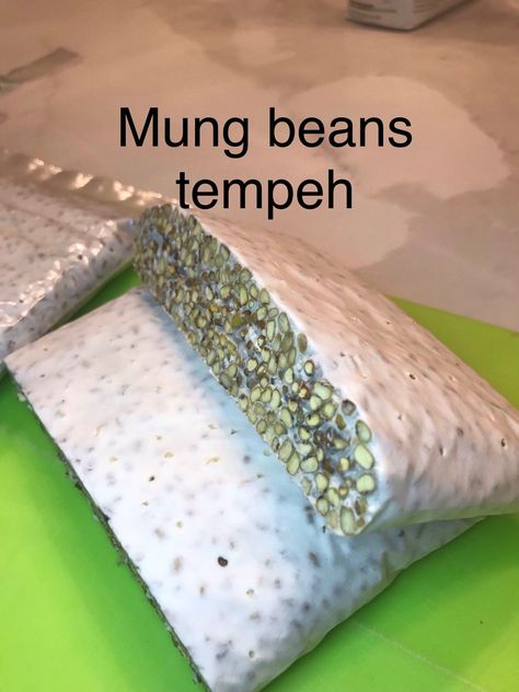 Koji Rice Recipe, How To Make Tempeh, Vegan Staples, Tofu Recipes Vegan, Tempeh Recipes, Fall Vegan Recipes, Fermentation Recipes, Mung Bean, Vegan Meal