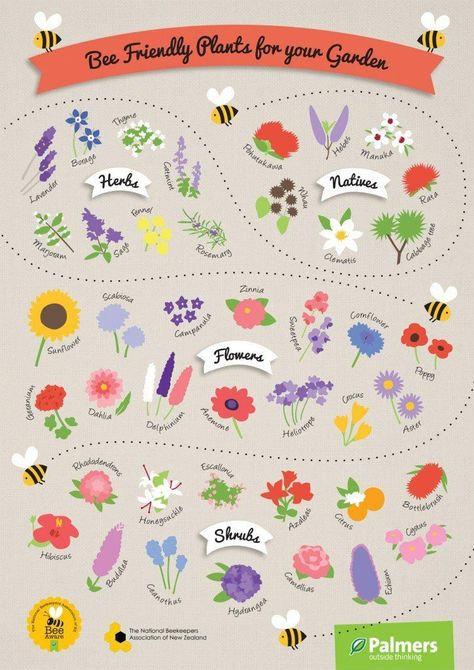 Hibiscus Shrub, Bee Friendly Plants, Bee Friendly Garden, Bee Garden, Bee Friendly, A3 Poster, Pollinator Garden, Save The Bees, Butterfly Garden