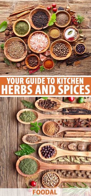 For sweet desserts or savory entrees, herbs and spices are crucial components to full-flavored dishes for the flavor nuances they provide – aroma, complexity, depth, warm spiciness, and cooling herbal notes.  Our complete guide provides all the info you need to successfully use these culinary essentials. #herbs #spices #foodal Kitchen Knowledge, Food Spices, Culinary Tips, Sauces Recipes, List Of Spices, Herbs List, Spice Combinations, Dry Mixes, Spice Blends Recipes