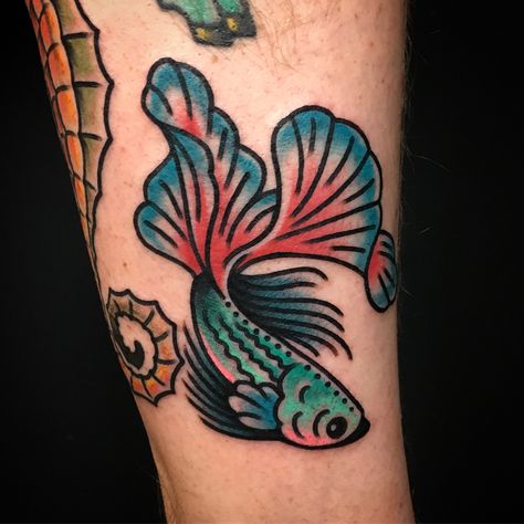 Beta fish and Seahorse heading back to NY with  @gerrrgorysimich thanks again my man! American Traditional Tattoos Insects, Blue Traditional Tattoo, Black And Grey Fish Tattoo, American Traditional Folk Tattoo, Fish With Legs Tattoo, Color American Traditional Tattoos, Beta Fish Tattoo Design, Traditional Tattoo Fish, Beta Fish Tattoos