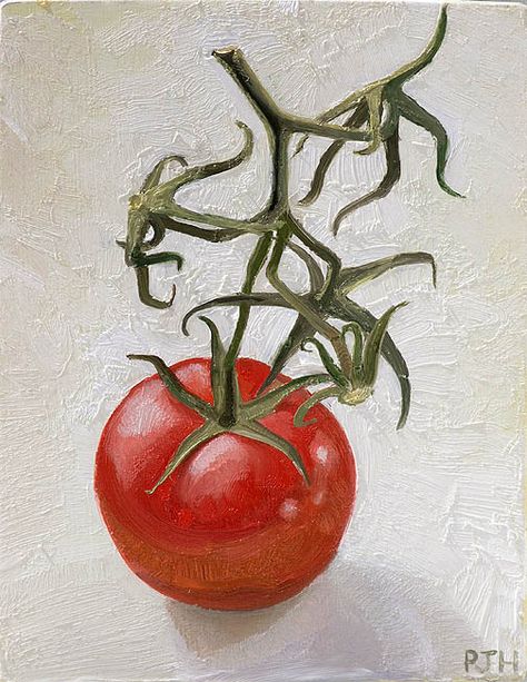 Tomato Plant Painting, Tomato Vine Drawing, Tomato Vine Tattoo, Tomato Drawings, Tomato Plant Drawing, Missy Tattoo, Tomato Sketch, Tomato On The Vine, Herb Candle