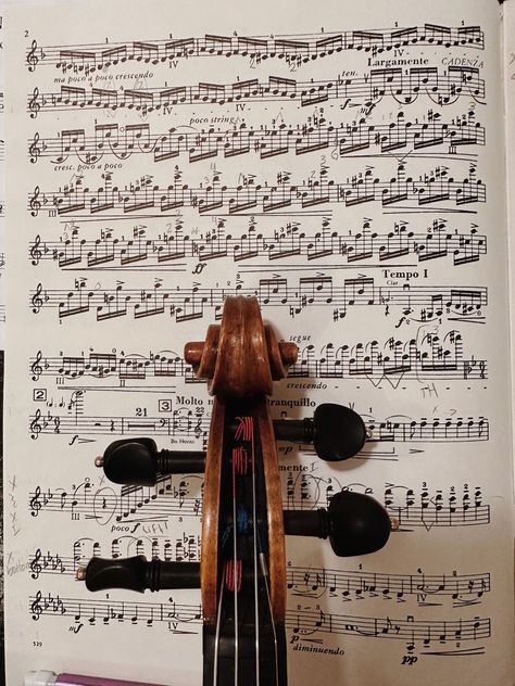 Violin Photography Wallpaper, Violin Practice Motivation, Music Lessons Aesthetic, Violin Girl Aesthetic, Violinist Aesthetic, Violin Soloist, Practice Motivation, Violin Aesthetic, Julliard School