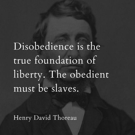 David Thoreau Quotes, Henry David Thoreau Quotes, Thoreau Quotes, Hope Life, Simple Reminders, Henry David Thoreau, Zindagi Quotes, Philosophy Quotes, Meditation Yoga