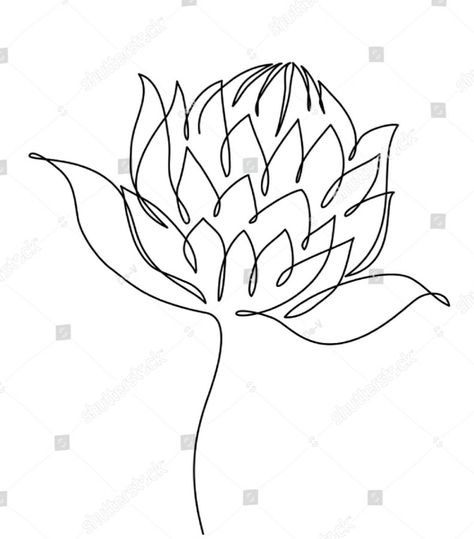 Protea Flower Template, Fynbos Illustration, Protea Flower Drawing, Protea Line Drawing, Protea Drawing, Protea Tattoo, King Protea Flower, Native Drawings, Flower Line Drawing