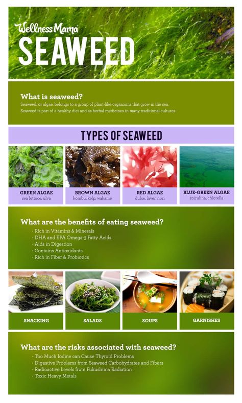 The Benefits of Seaweed (And When To Avoid It) | Wellness Mama Tomato Nutrition, Calendula Benefits, Fruit Health Benefits, Wellness Mama, Matcha Benefits, Lemon Benefits, Coconut Health Benefits, Green Algae, Benefits Of Coconut Oil