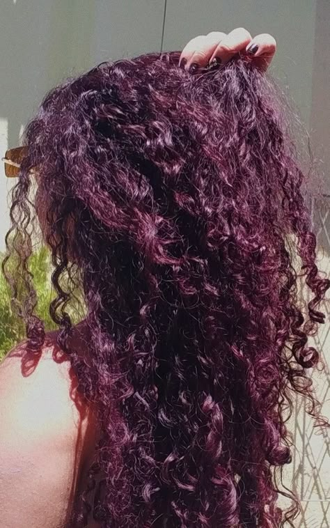 Sangria Hair Color, Plum Curly Hair, Burgundy Curly Hair, Plum Purple Hair, Purple Curly Hair, Curly Purple Hair, Purple Red Hair, Purple Curls, Red Violet Hair