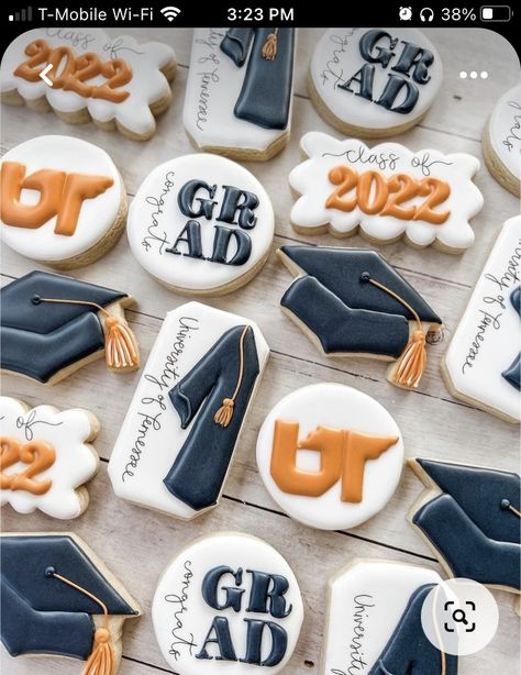 Grad Treats, Grad Cookies, Graduation Cake Pops, School Cupcakes, No Bake Sugar Cookies, Cookie Decorations, Cookies Theme, Iced Sugar Cookies, Graduation 2024