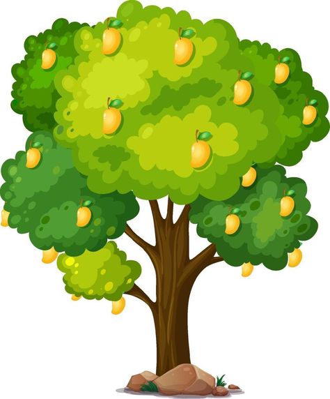 Yellow mango tree isolated on white background Mango Tree Drawing, Mango Tree Illustration, Durian Tree, Yellow Mango, Papaya Tree, Emo Roblox, Bee Classroom, Animated Pictures, Fruits Drawing