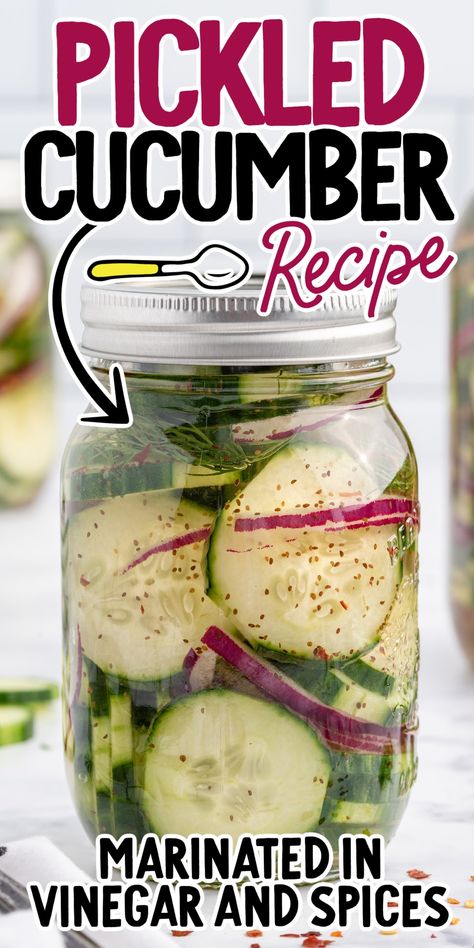 Cucumber Recipes Vinegar, Pickled Cucumber Recipe, Pickled Cucumbers And Onions, Pickles Homemade Easy, Pickles Homemade, Pickling Cucumbers Recipe, Pickled Cucumber Salad, Pickled Vegetables Recipe, Quick Pickled Red Onions