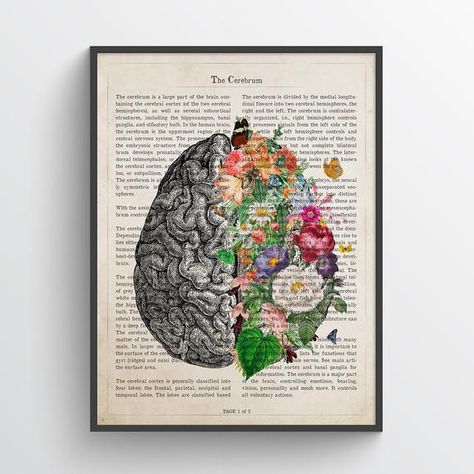 Psychology Posters, Flower Anatomy, Medical Decor, Medical Posters, Brain Art, Med School, Human Brain, Grand Art, Book Page