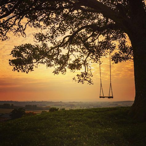 #swing #tree #sunset #burrowhill #somerset #sony #sonya7r #ukshots #uk_shots burrow hill cider farm somerset Tree Sunset, Tree Swing, Black Tree, A Hill, Somerset, Cottage Core, Cider, Dream Home, Celestial Bodies