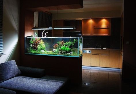 Peninsula Aquarium, Decorative Partition, Desktop Aquarium, Partition Ideas, Wall Aquarium, Fish Tank Terrarium, Latest Living Room Designs, Open Plan Kitchen Living Room, Home Aquarium