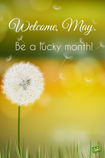 Welcome, May. Be a lucky month. Welcome May Image, Welcome May Quotes Month, Welcome May Month, Hello May Month, May Month Quotes, Hello January Quotes, Hello May Quotes, Happy New Month Quotes, May Month