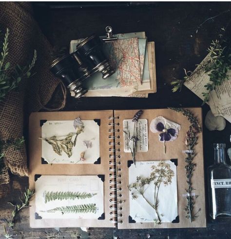 Euphoric Aesthetic, Nature Scrapbook, Witch Altar, Tattoo Diy, Nature Studies, Field Journal, Nature Journaling, Stick N Poke, Trendy Plants